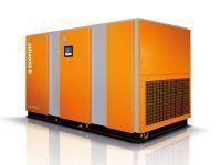 Компрессор винтовой Ekomak ЕКО 250 СD 13